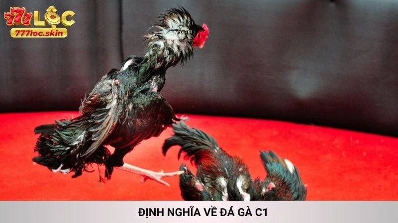 Định nghĩa về Đá gà C1